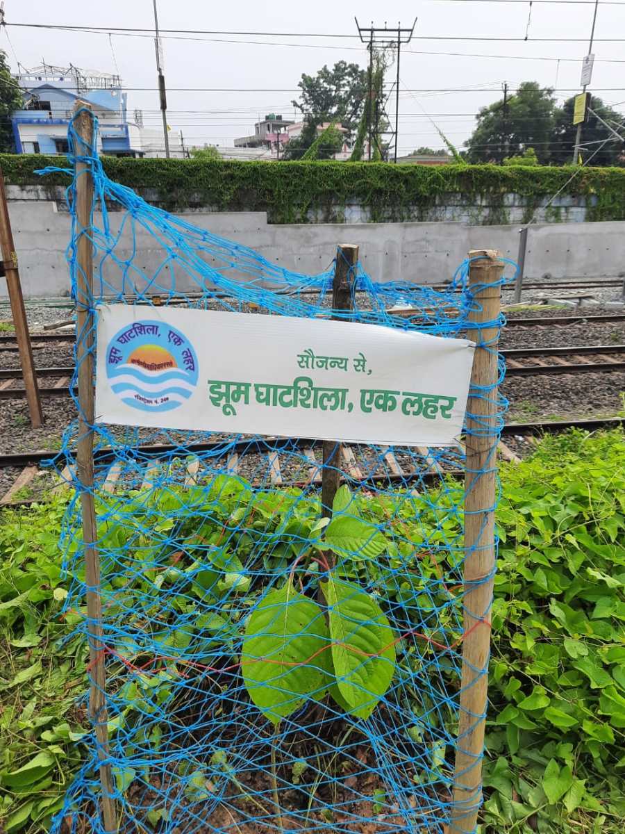 Ghatsila newsझूम घाटशिला, एक लहर की पर्यावरण बचाने की मुहिम,  51 फलदार और छायेदार पेड़ लगाए… | Vananchal 24TV Live