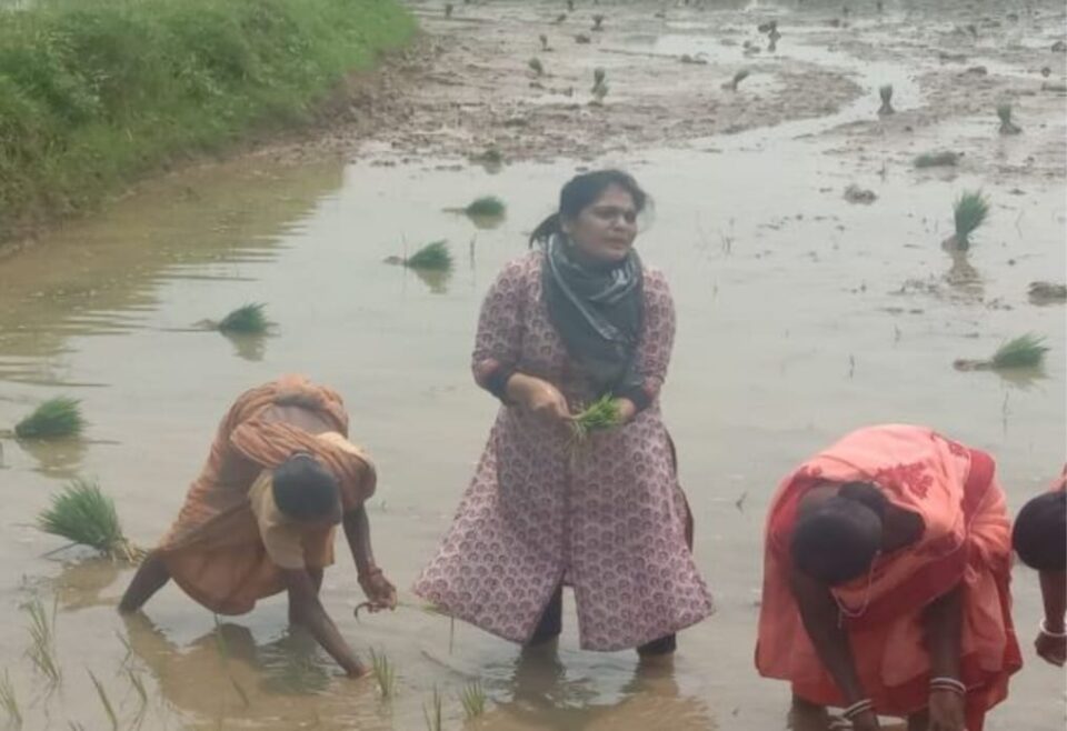 Jamsedpur News जब कीचड़ से सने खेत में उतरी जमशेदपुर की डीसी… | Vananchal 24TV Live