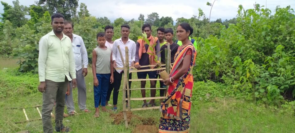 Kharsawn News : पोंडाकाटा में पौधारोपण कर मनाया विश्व आदिवासी दिवस… | Vananchal 24TV Live