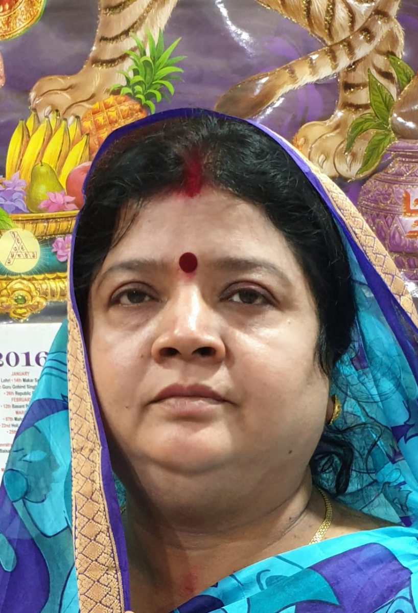 Saraikela News : नपं अध्यक्षा ने दुर्गा पूजा को लेकर प्रमुख चौकों में खराब पड़े हाई मास्ट लाइट को ठीक कराने के निर्देश दिए…..