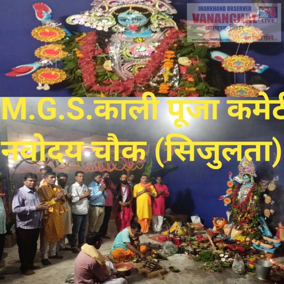 Rajnagar news :एम.जी.एस काली पूजा कमेटी(सिजुलता) द्वारा मां काली की पूजा अर्चना संपन्न।भक्तों ने माँ से की शुख शान्ति की कामना। | Vananchal 24TV Live