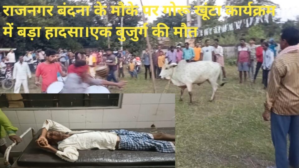 RAJNAGAR NEWS :राजनगर में गोरूखूंटा के दौरान बड़ा हादसा।खूंटा तोड़ कर बैल ने भीड़ को रौंदा, एक बुजुर्ग की मौत।