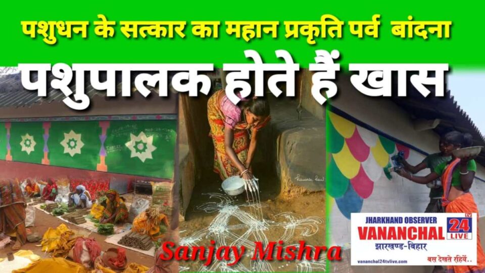Saraikela News : पशुधन के सत्कार का महान प्रकृति पर्व बांदना 24 को …… | Vananchal 24TV Live