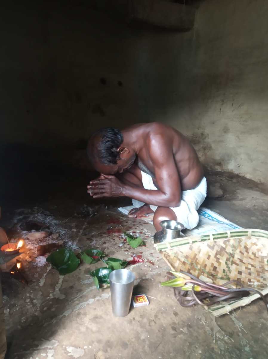 SARAIKELA NEWS : बांदना परब के अवसर पर गोहाल पूजा का हुआ आयोजन…