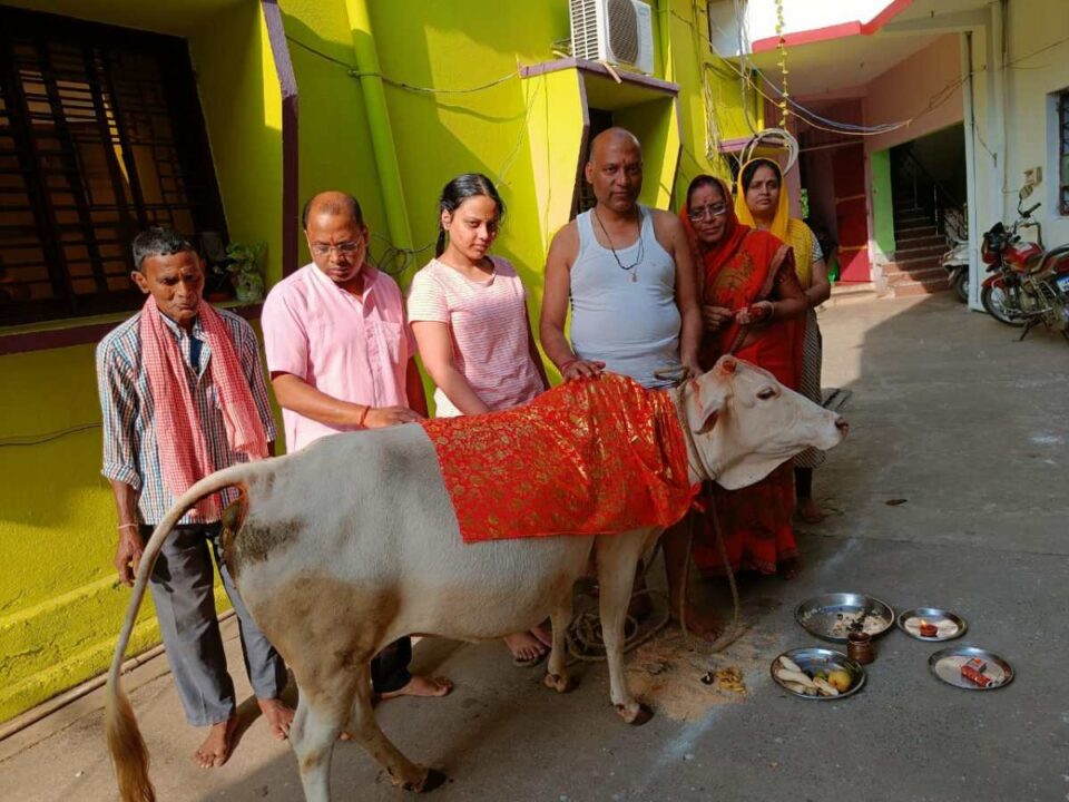 SARAIKELA NEWS : गोपाष्टमी पर नपं उपाध्यक्ष ने कि गौ माता की पूजा…