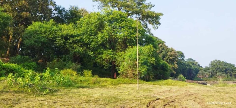 Saraikela : जुए के नशे की चपेट में सरायकेला की युवा पीढ़ी, कारोबारी हो रहे मालामाल, उजड़ रहे परिवार…..