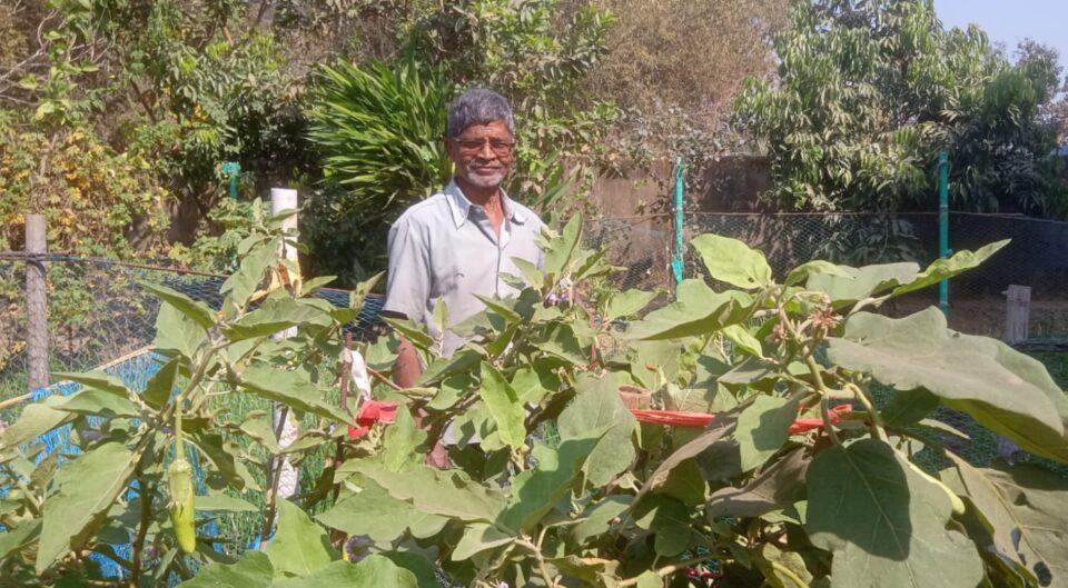 SARAIKELA NEWS : रिटायर्ड रेलकर्मचारी राजाराम महतो ने खरीद कर लगाए 200 पौधे।