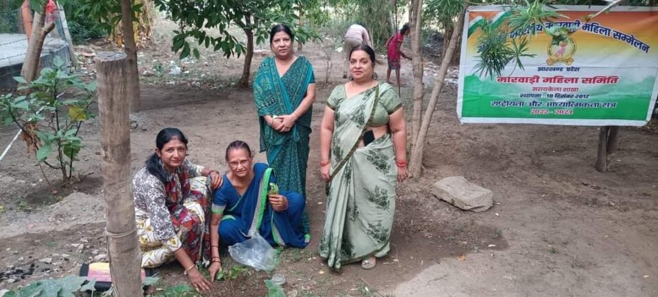 सरायकेला : विश्व पर्यावरण दिवस पर मारवाड़ी महिला समिति एवं युवा मंच ने लगाए 21 फलदार, छायादार और औषधीय पौधे…
