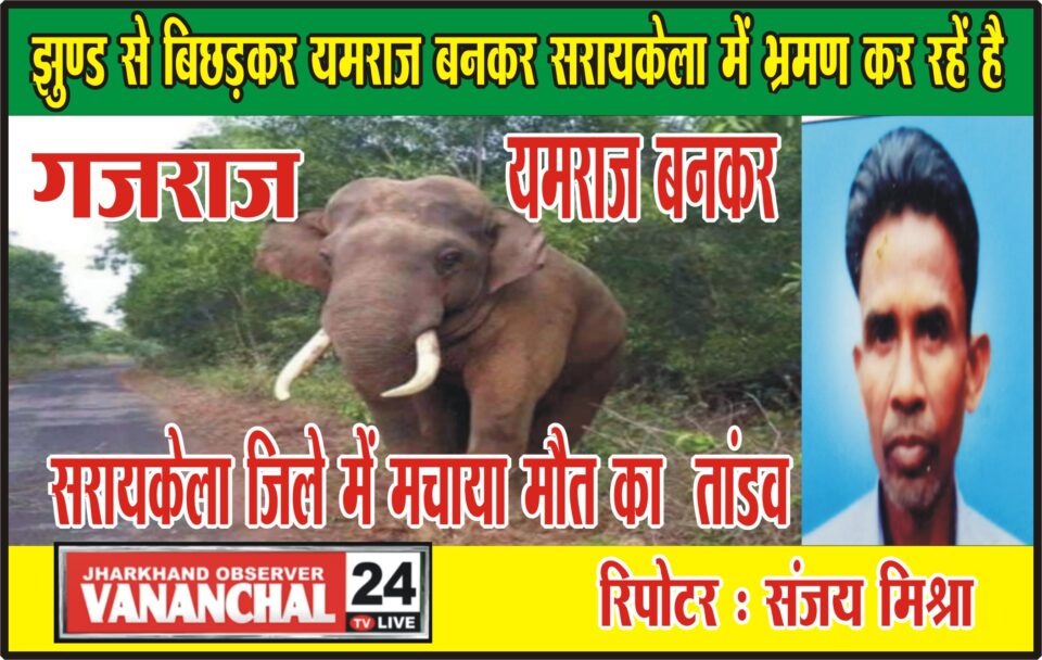 झुंड से बिछड़े एक दंतैले जंगली गजराज ने मचाया उत्पात, गजराज के हमले में एक की हुई मौत, दो गंभीर रूप से हुआ घायल… – Vananchal 24TV Live – वनांचल 24TV लाइव