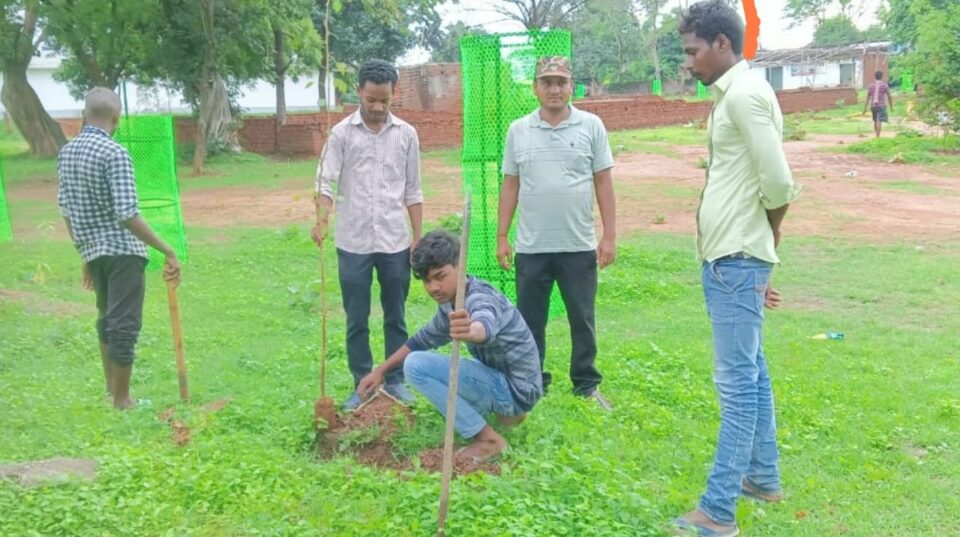 RAMGARH :  युवकों ने लगाया गए पौधे . . .