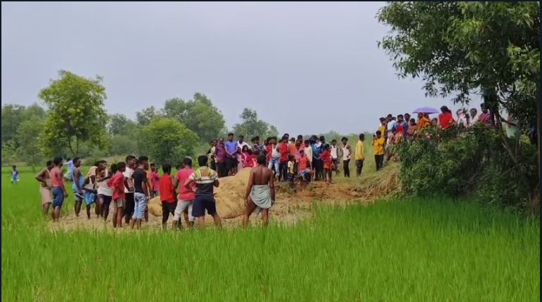 कुकडू के सपारूम में गुजर हाथी की मौत, बिजली का करंट लगने से कुछ दिनों से बीमार था … – Vananchal 24TV Live – वनांचल 24TV लाइव