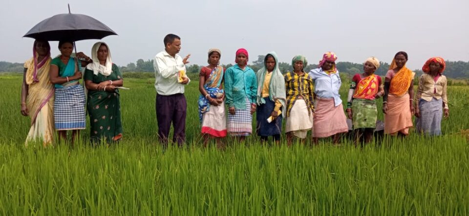 ईचागढ़:विधिक सेवा के द्वारा लोगों को किया गया जागरूक…