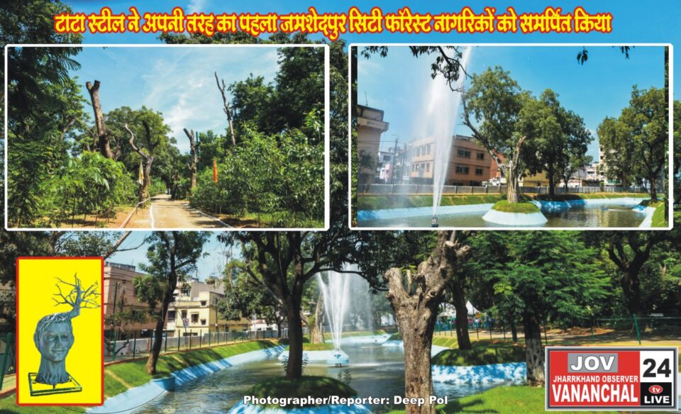 टाटा स्टील ने अपनी तरह का पहला जमशेदपुर सिटी फॉरेस्ट नागरिकों को समर्पित किया… – Vananchal 24TV Live – वनांचल 24TV लाइव