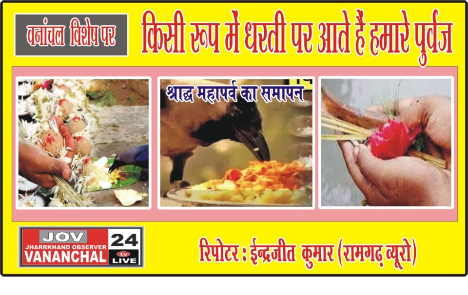 किसी रूप में धरती पर आते हैं हमारे पुर्वज, पढ़ें… – Vananchal 24TV Live – वनांचल 24TV लाइव