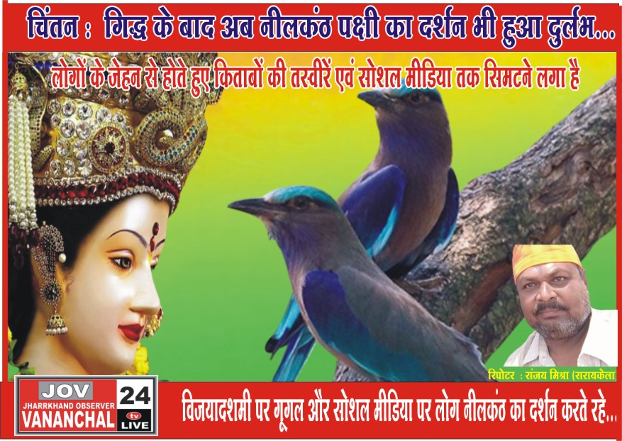 विजयादशमी पर गूगल और सोशल मीडिया पर लोग एक दूसरे को कराते रहें नीलकंठ पक्षी के दर्शन…