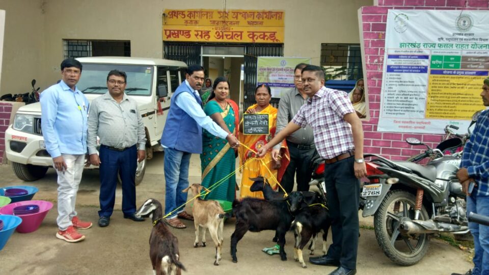 चांडिल:मुख्यमंत्री पशुधन विकास योजना अंतर्गत आठ यूनिट बकरा-बकरी वितरण… – Vananchal 24TV Live – वनांचल 24TV लाइव