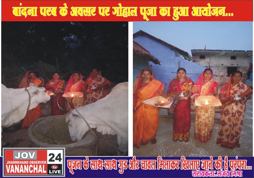 सरायकेला:बांदना परब के अवसर पर गोहाल पूजा का हुआ आयोजन… – Vananchal 24TV Live – वनांचल 24TV लाइव